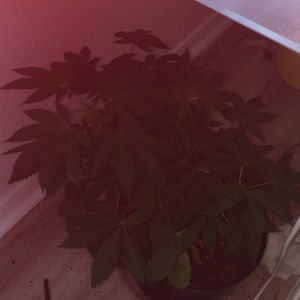 Meet your Posher, Jeff